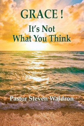 Grace: It's Not What You Think by Steven Barry Waldron 9781950647989