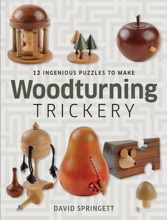 Woodturning Trickery by David Springett 9781861087386