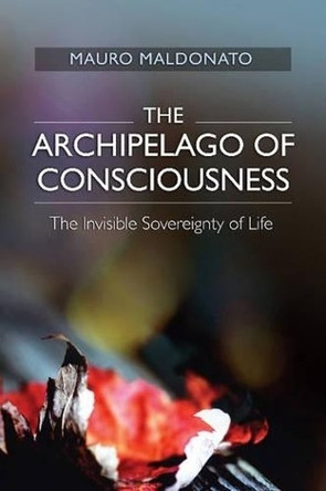 Archipelago of Consciousness: The Invisible Sovereignty of Life by Mauro Maldonato 9781845197124
