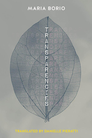 Transparencies by Maria Borio 9781954218024