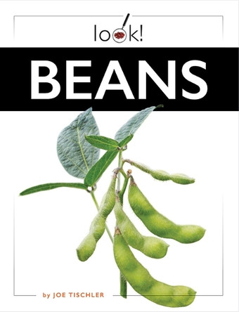 Beans by Joe Tischler 9781682774014