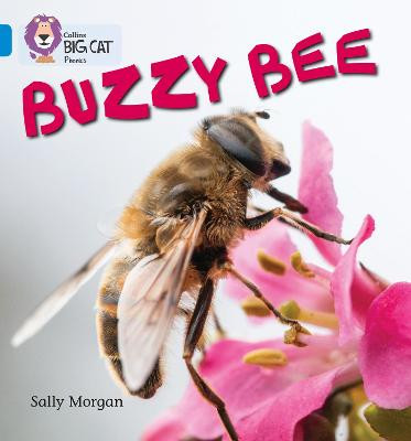 Buzzy Bees: Band 04/Blue (Collins Big Cat Phonics) by Sally Morgan