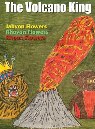 The Volcano King by Rhoan S Flowers 9781999164225