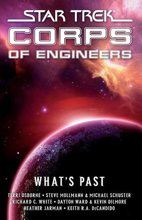 Star Trek: SCE: What's Past by Terri Osborne 9781439194867