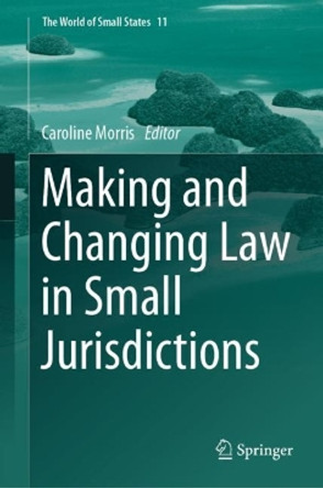 Making and Changing Law in Small Jurisdictions by Caroline Morris 9783031469428