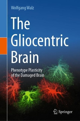 The Gliocentric Brain: Phenotype Plasticity of the Damaged Brain by Wolfgang Walz 9783031481048