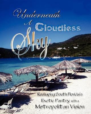 Underneath a Cloudless Sky by Michael Bennett 9780615328775