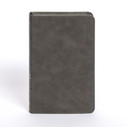 NASB Personal Size Bible, Charcoal Leathertouch by Holman Bible Publishers 9798384525370