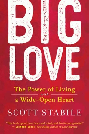 Big Love: The Power of Living with a Wide-Open Heart 9781608689811