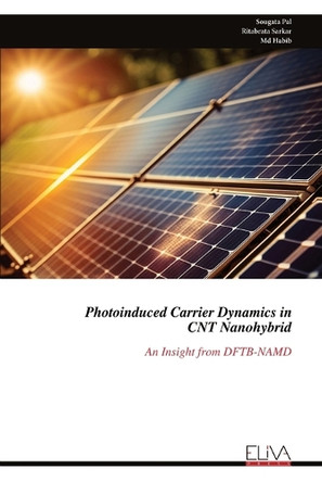 Photoinduced Carrier Dynamics in CNT Nanohybrid: An Insight from DFTB-NAMD by Sougata Pal 9789999315975
