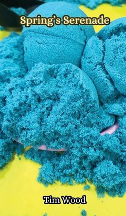 Spring's Serenade by Tim Wood 9789916856543