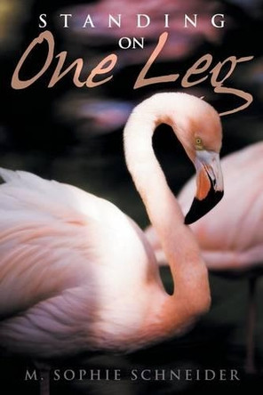 Standing on One Leg by M Sophie Schneider 9781480804319