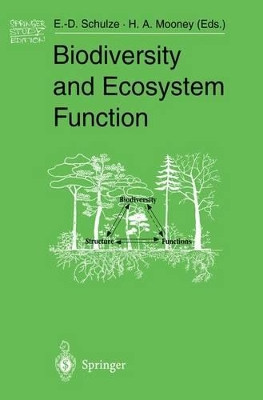 Biodiversity and Ecosystem Function by Ernst-Detlef Schulze 9783540581031