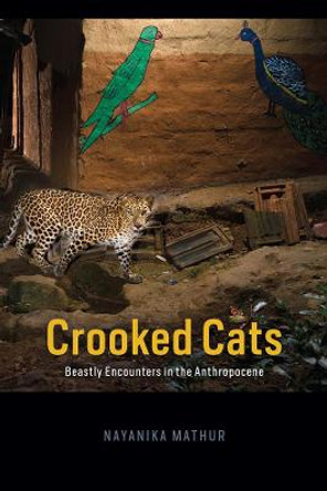 Crooked Cats: Beastly Encounters in the Anthropocene by Nayanika Mathur Crooked Cats: Beastly Encounters in the Anthropocene by Nayanika Mathur