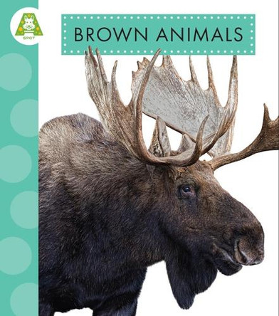 Brown Animals by Anastasia Suen 9798892001274