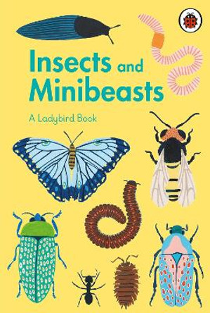 A Ladybird Book: Insects and Minibeasts by Amber Davenport