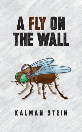 A Fly on the Wall by Kalman Stein 9798991914420
