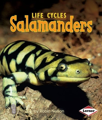 Salamanders by Robin Nelson 9780761341086