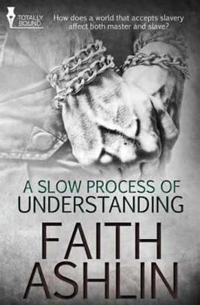 A Slow Process of Understanding by Faith Ashlin 9781784303570 A Slow Process of Understanding by Faith Ashlin 9781784303570
