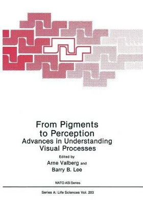 From Pigments to Perception: Advances in Understanding Visual Processes by Arne Valberg 9781461366546