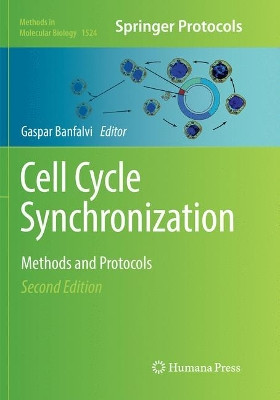 Cell Cycle Synchronization: Methods and Protocols by Gaspar Banfalvi 9781493982486