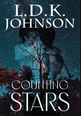 Counting Stars by L D K Johnson 9781959715191