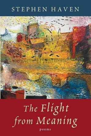 Flight from Meaning by Stephen Haven 9781639821846