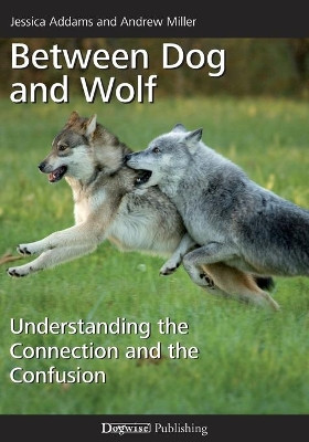 Between Dog and Wolf: Understanding the Connection and the Confusion by Andrew Miller 9781617812811