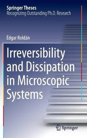 Irreversibility and Dissipation in Microscopic Systems by Edgar Roldan 9783319070780