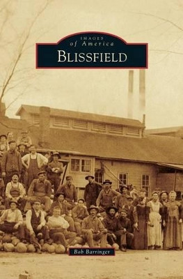 Blissfield by Bob Barringer 9781531669294