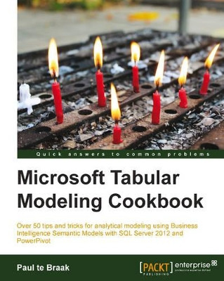 Microsoft Tabular Modeling Cookbook by Paul Te Braak 9781782170884