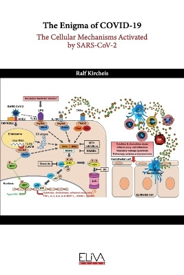 The Enigma of COVID-19: The Cellular Mechanisms Activated by SARS-CoV-2 by Ralf Kircheis 9789994987849