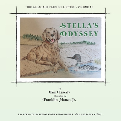 Stella's Odyssey by Franklin Manzo, Jr 9781732245693
