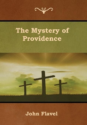 The Mystery of Providence by John Flavel 9781618954640