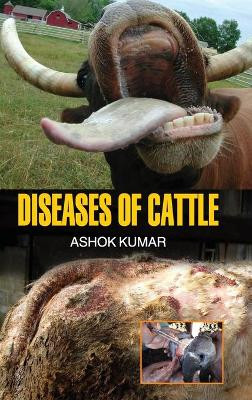 Diseases of Cattle by Ashok Kumar 9789350564110
