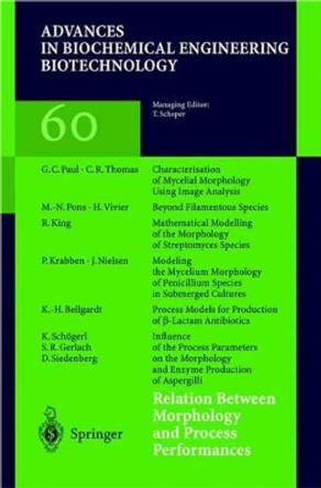Relation Between Morphology and Process Performances by Karl Schugerl 9783662147771