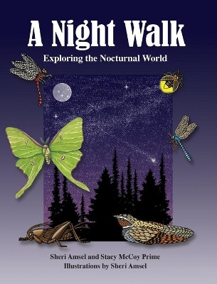 A Night Walk: Exploring the Nocturnal World by Sheri Amsel 9781943201648