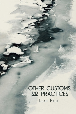 Other Customs and Practices by Leah Falk 9781941783986