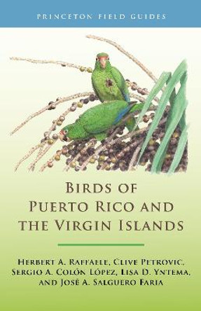 Birds of Puerto Rico and the Virgin Islands: Fully Revised and Updated Third Edition by Birds of the West Indies Herbert A. Raffaele