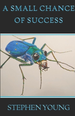 A Small Chance of Success by Carlene Young 9781965149010