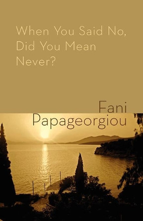 When You Said No, Did You Mean Never? by Fani Papageorgiou 9781848612655