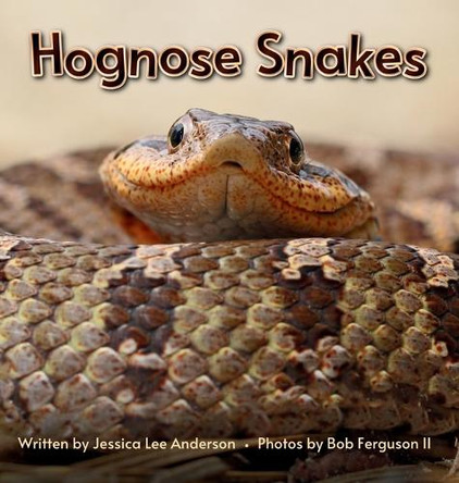 Hognose Snakes by Jessica Lee Anderson 9781964078151