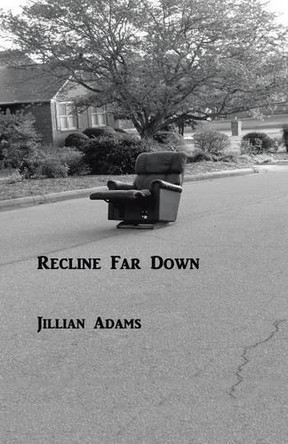 Recline Far Down by Jillian Adams 9781490739632