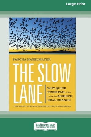 The Slow Lane: Why Quick Fixes Fail and How to Achieve Real Change (16pt Large Print Format) by Sascha Haselmayer 9781038766915