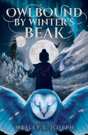 Owlbound by Winter's Beak by Wesley E Joseph 9789464981605