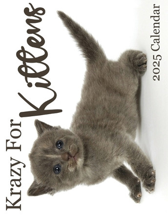 Krazy For Kittens 2025 Calendar: 2025 Calendar by B Patrick 9781959209324