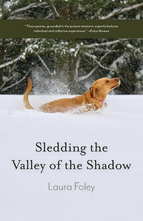 Sledding the Valley of the Shadow by Laura Foley 9781594981494