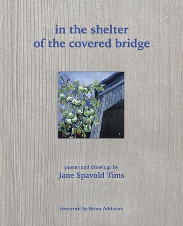 In the Shelter of the Covered Bridge by Jane Spavold Tims 9781988299105
