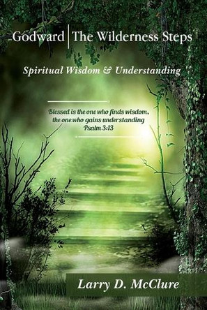 Godward The Wilderness Steps: Spiritual Wisdom and Understanding by Larry D McClure 9798892281683