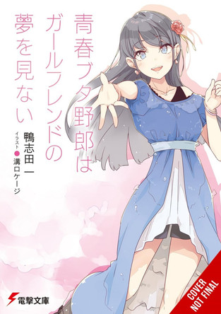 Rascal Does Not Dream of Girlfriend (light novel) by Andrew Cunningham 9798855418293